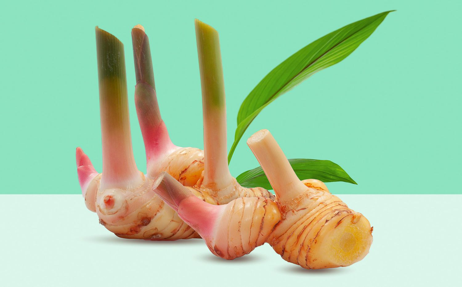 Galangal Root: Benefits, Uses, and Side Effects - granitegazette.com